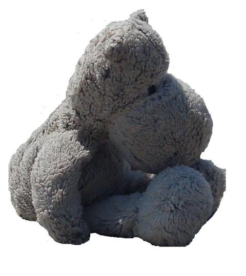 Perdu doudou à Grenoble