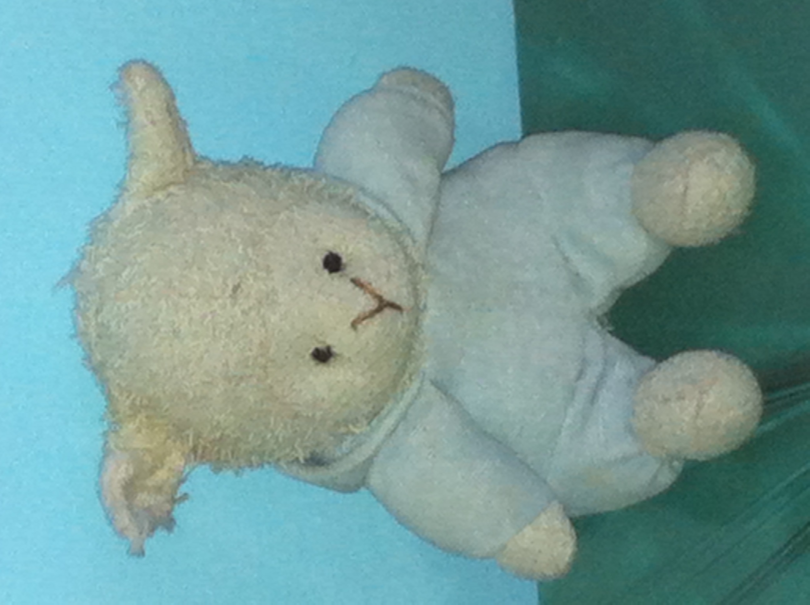 Wanted Doudou perdu Train Paris Perpignan