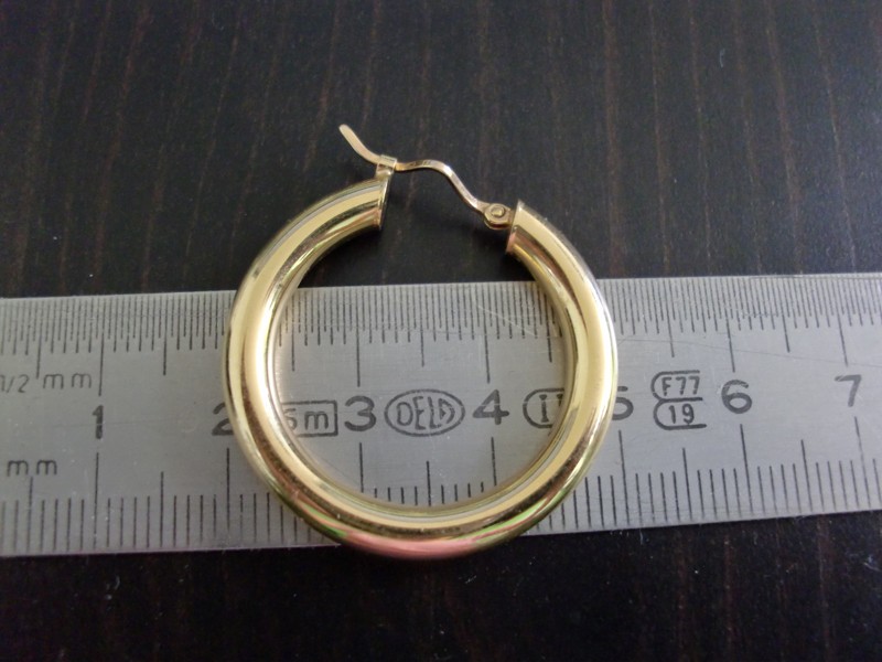 Perdu boucle d'oreille à Paris 15, 1er, 2ème, 3ème ou 4ème arrondissement.