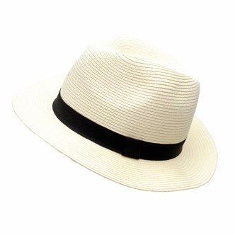 Chapeau type panama