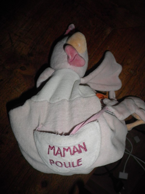 DOUDOU MAMAN POULE