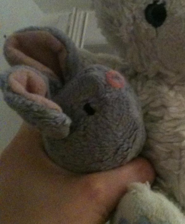 Perdu peluche souris violette