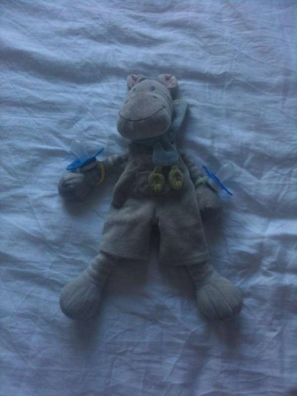 DOUDOU CHEVAL