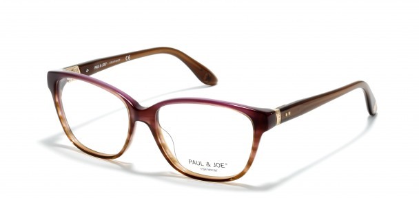 Perdu Lunettes de vues dans tgv