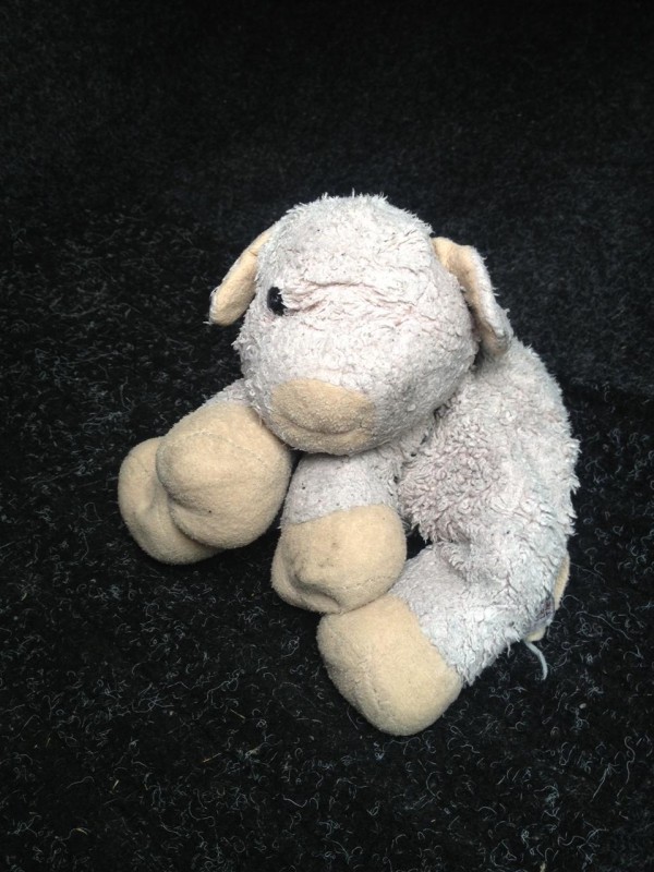 Trouvé doudou cochon avenue Foch - Nancy