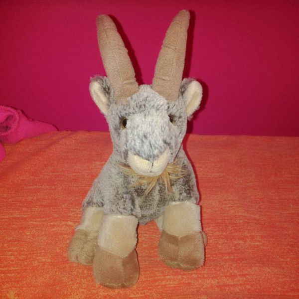 Perdu doudou Bouquetin entre Brest et Lesnven