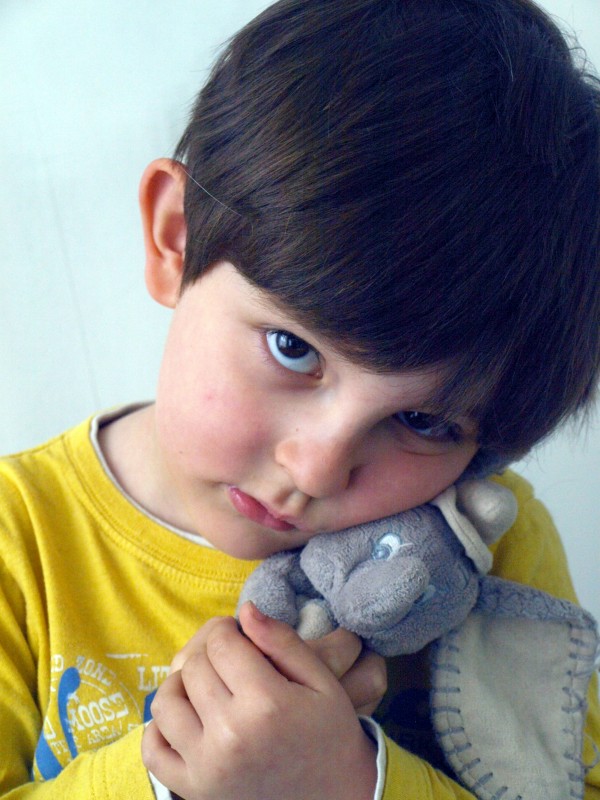 Perdu Doudou dumbo peluche+carré de tissu gris, dans le train en direction de Maubeuge