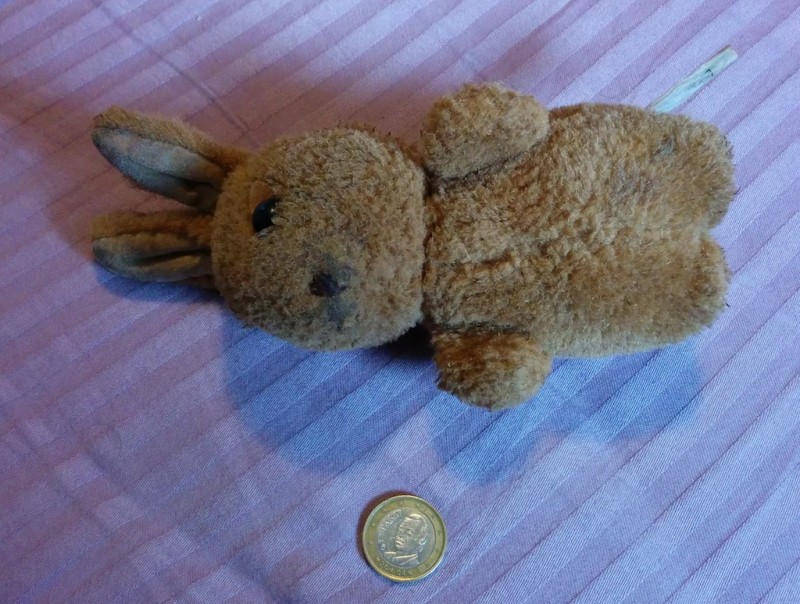Trouvé petit lapin en peluche marron à Lille rue de Wazemmes