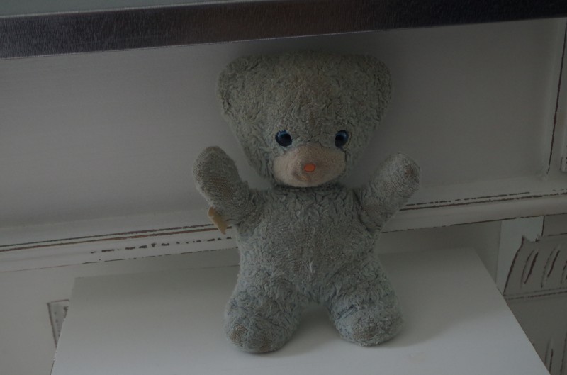 Perdu Ours en peluche de couleur bleue.