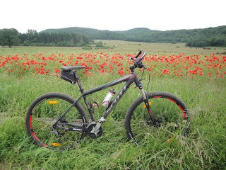 Vélo VTT Scott 29 pouces
