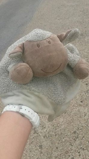 Trouvé doudou mouton