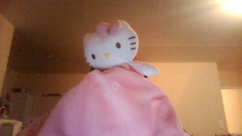 perdu doudou hello kitty avec clochette à l'intérieur