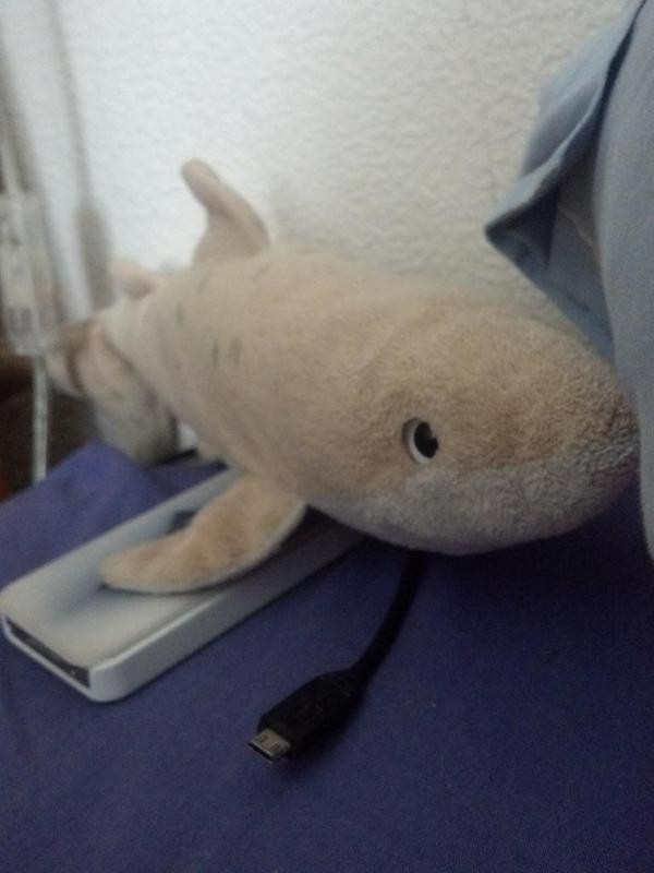 Perdu peluche requin couleur beige dans un sac à dos noir