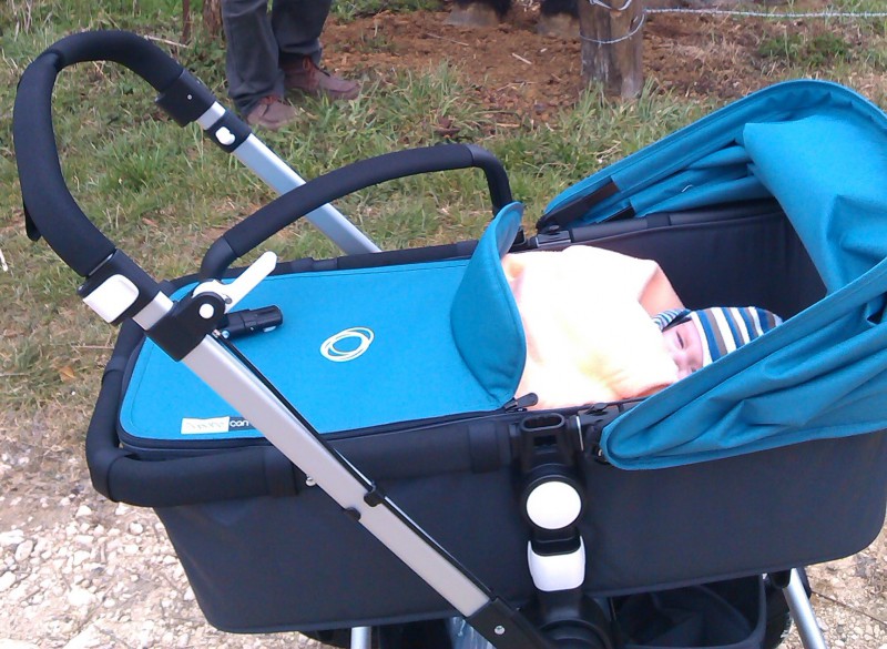 Poussette BUGABOO Caméléon 3