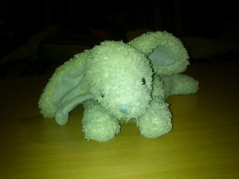doudou lapin