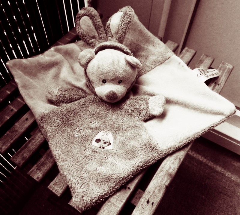 Doudou plat ours Nicotoy Parc Roseraie Beaujoire Nantes