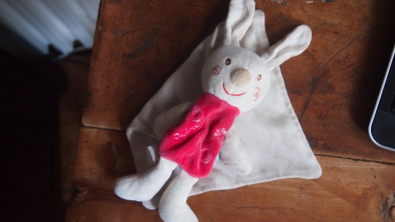 DOUDOU LAPIN LABEGE FETE FORAINE