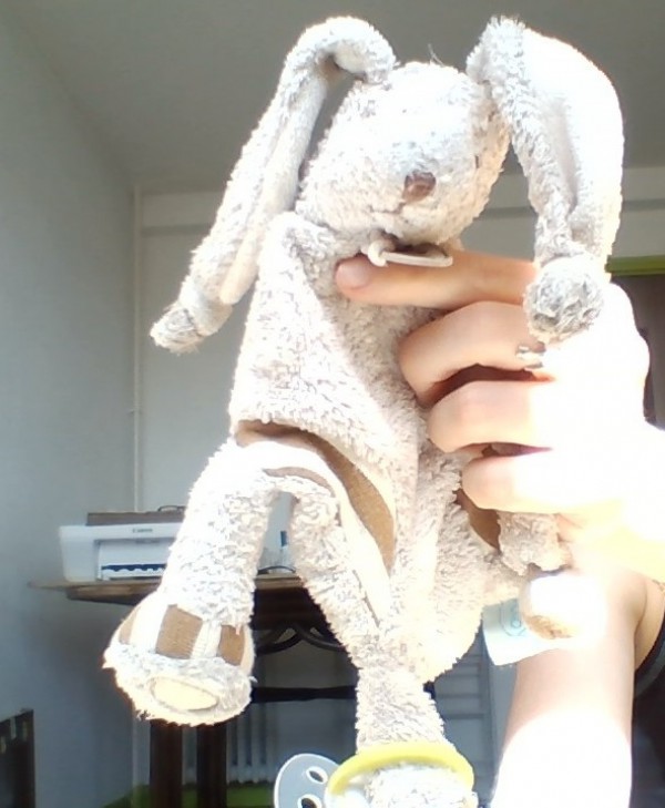 Trouvé doudou lapin et tétine Rennes