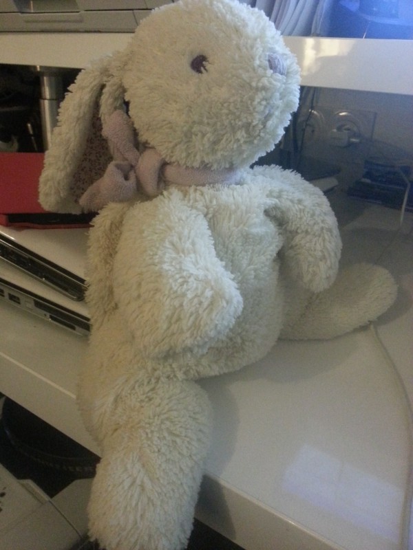Doudou perdu