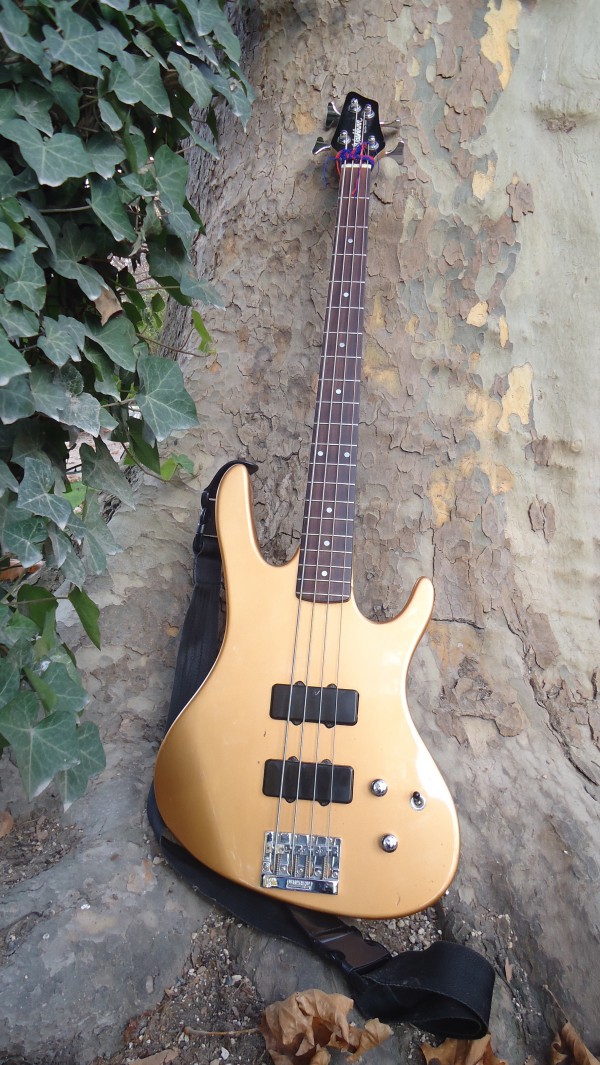 Basse électrique washburn volée