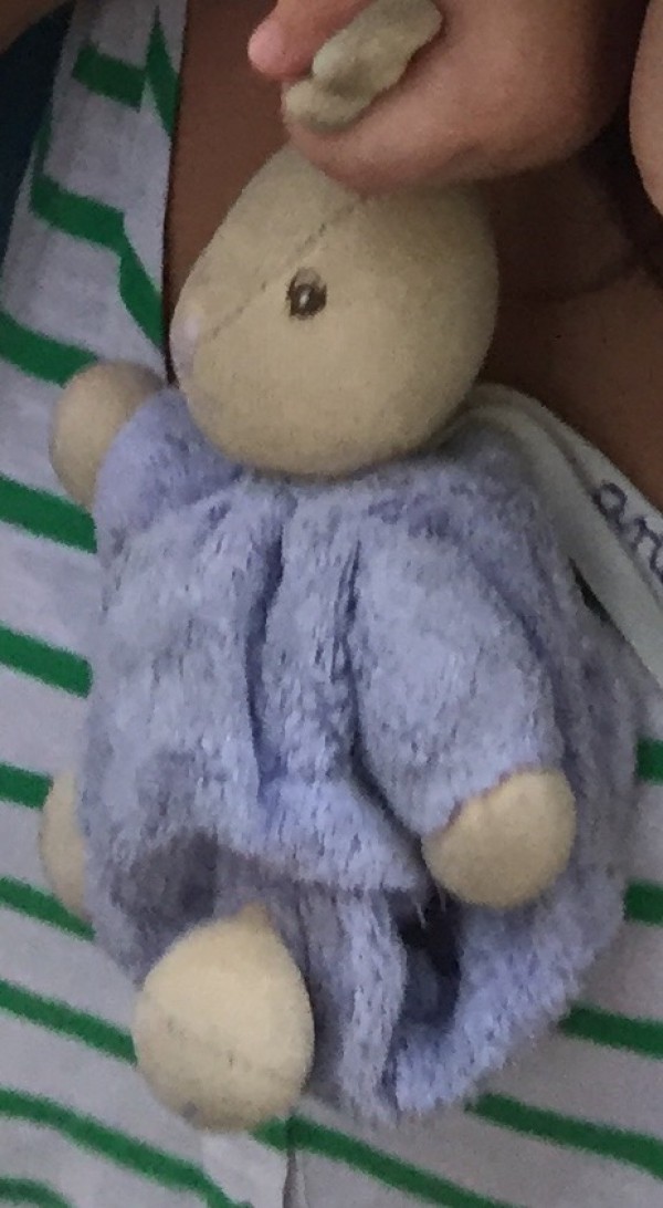 Doudou peluche lapin bleu