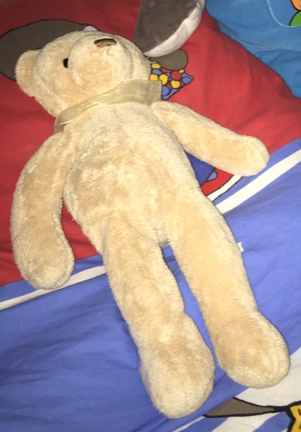 Perdu doudou ours