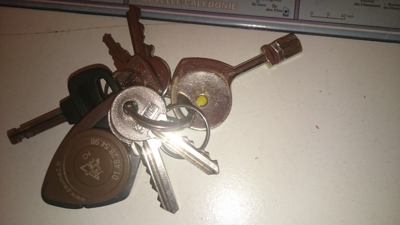 Trouvé trousseau de clefs / Meeting politique du 29 01 2016 à La Villette (Paris)