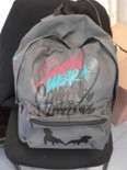 TROUVE SAC A DOS TRAIN TER NANTES