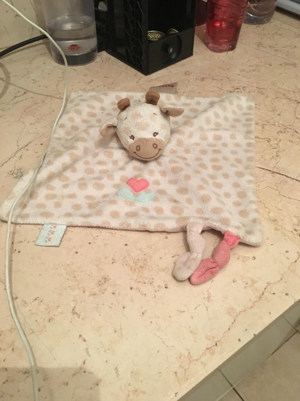 Perdu doudou