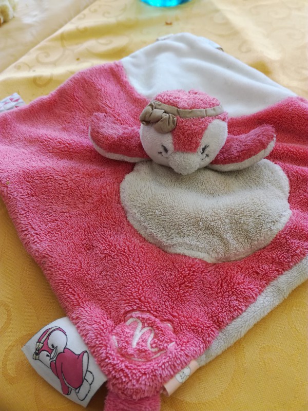 Perdu doudou de ma petite puce