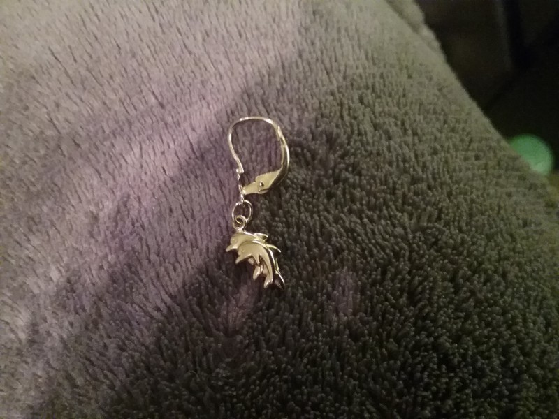 Boucle d'oreilles