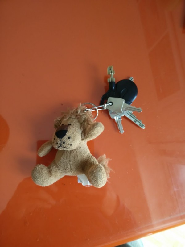 trousseau clés avec peluche lion - paris 18e rue Vauvenargues