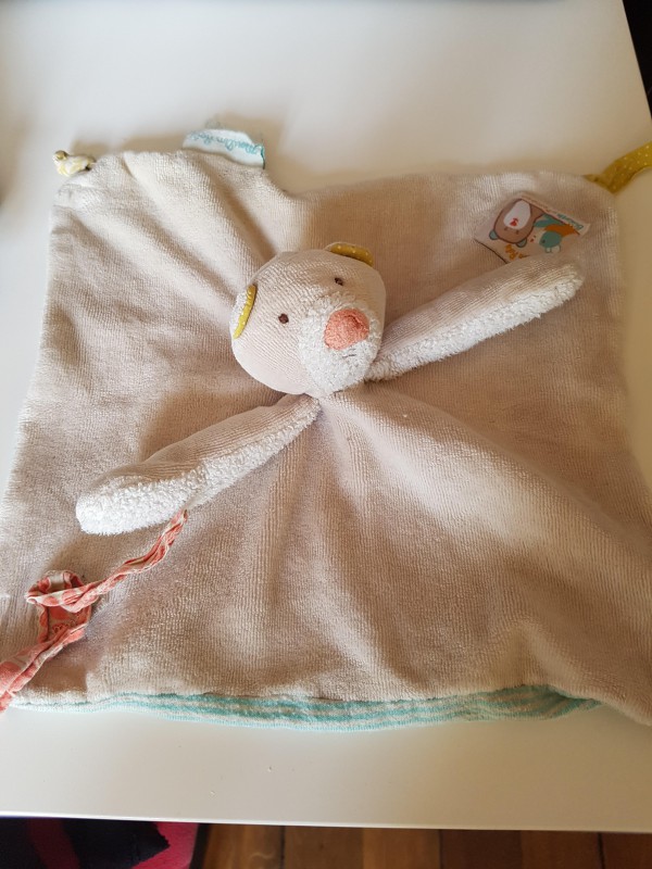 Perdu doudou entre centre ville et Montbernage à Poitiers