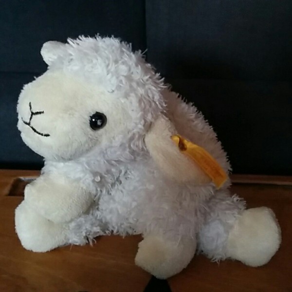 Trouvé doudou mouton sur l'esplanade de Lille