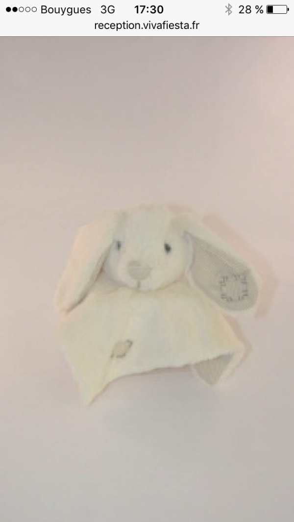 Perdu doudou lapin écru à Disneyland
