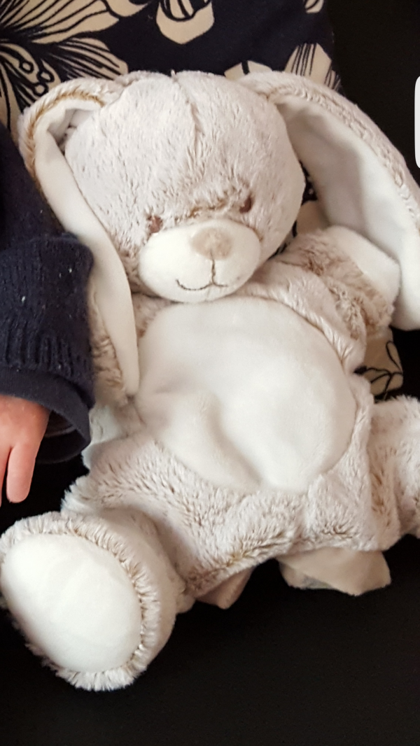 Perdu doudou lapin à Bourges, rue moyenne / Avaricum