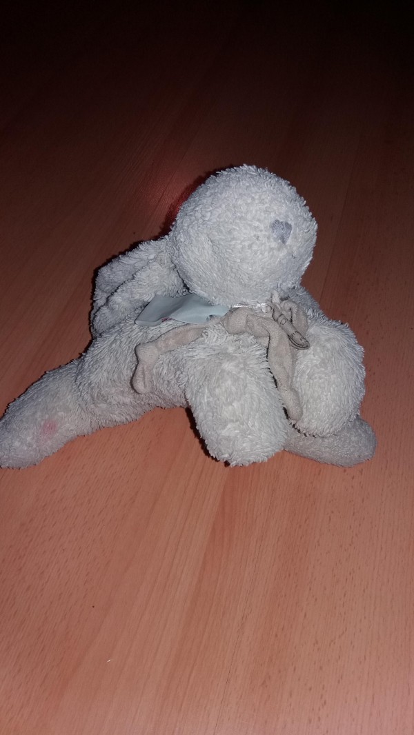 Perdu Doudou lapin quartier opéra/rue Nationale à Tours