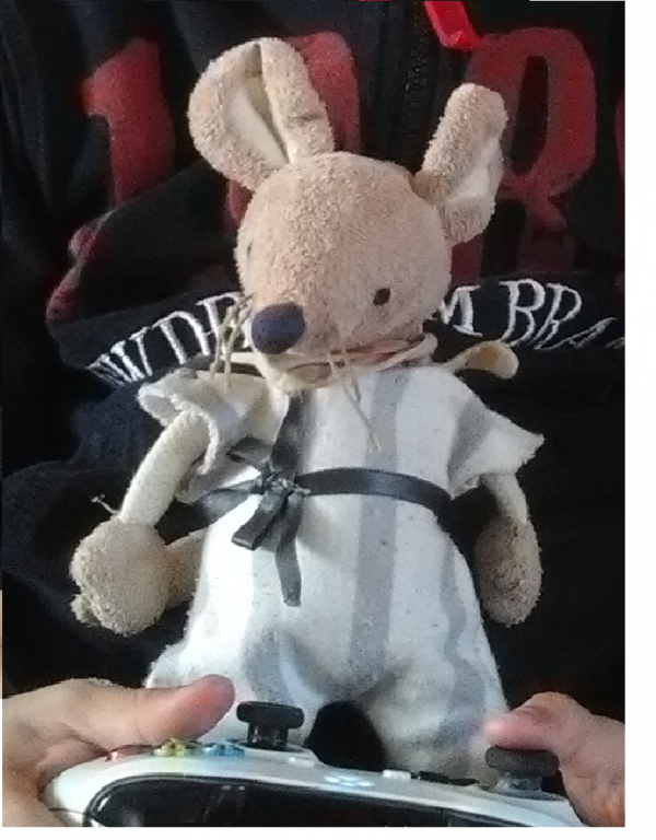 doudou lapin