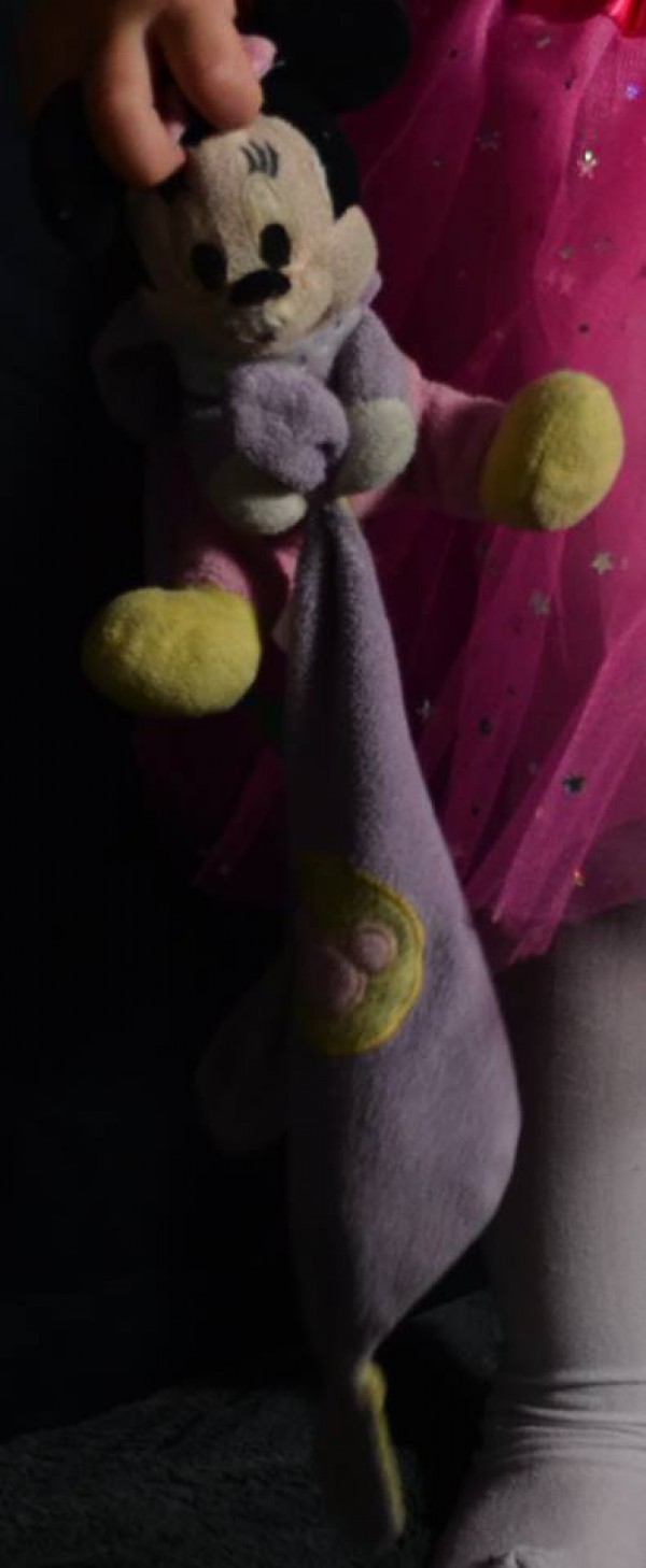Perdu doudou minnie gretz armainvilliers