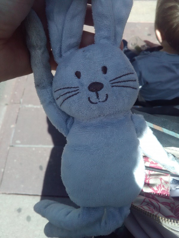 Trouver Doudou lapin à Belfort