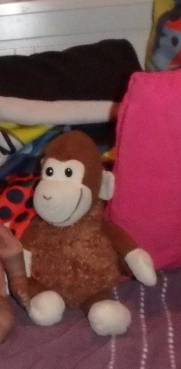 Doudou singe perdu à Fontenay-sous-bois