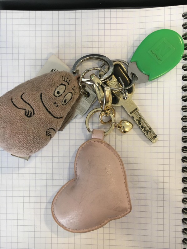 Trousseau de clé trouvé ce matin 9h30 place de l'Opéra / Paris 75009