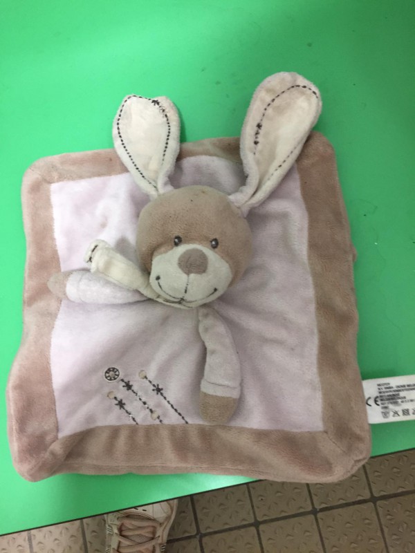 Trouvé lapin gris près porte d'Asnières