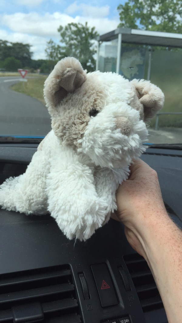Doudou chien blanc et gris