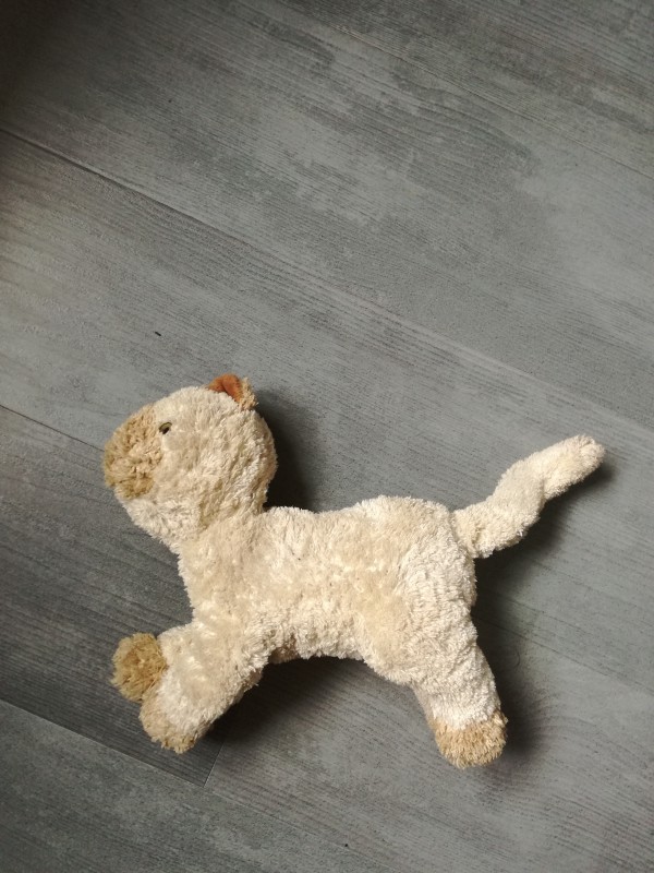 Doudou chat trouvé dans une pharmacie à Saint-Yrieix (16)