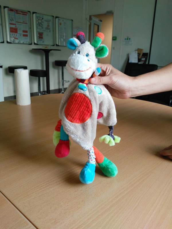 trouvé doudou à Echirolles