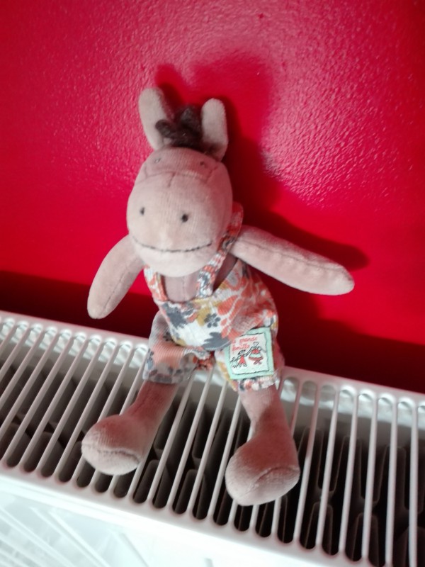 Doudou âne ou cheval trouvé dans le parc de Chateauneuf sur Loire, au niveau des jeux d'enfants.