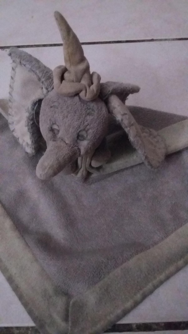 Doudou trouvé route du lac