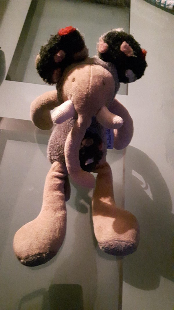 Doudou éléphant gris au nom de [nom masqué]