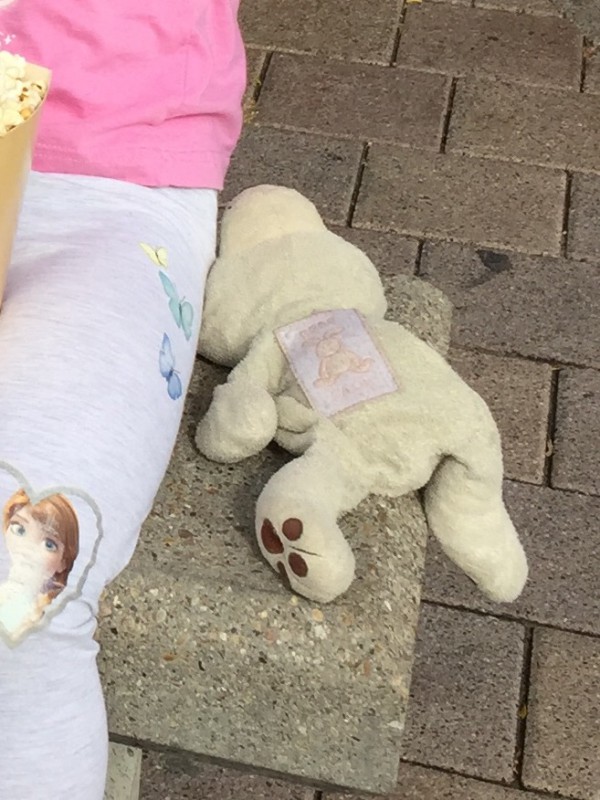 Doudou ours polaire perdu à Disneyland Paris